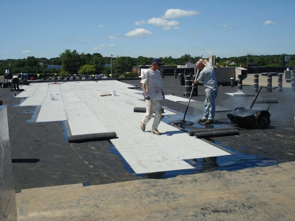 Product decisions need roof evidence first.