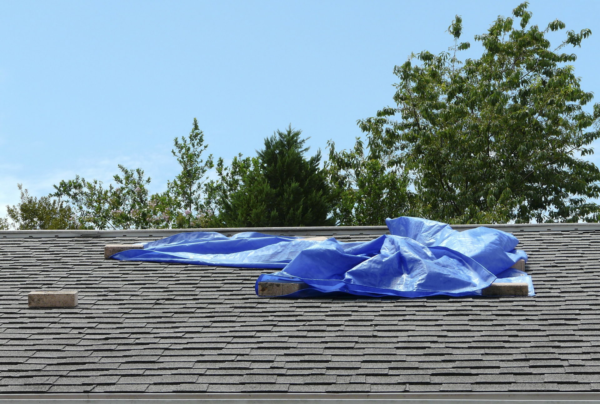 Commercial roof planning with evidence first.