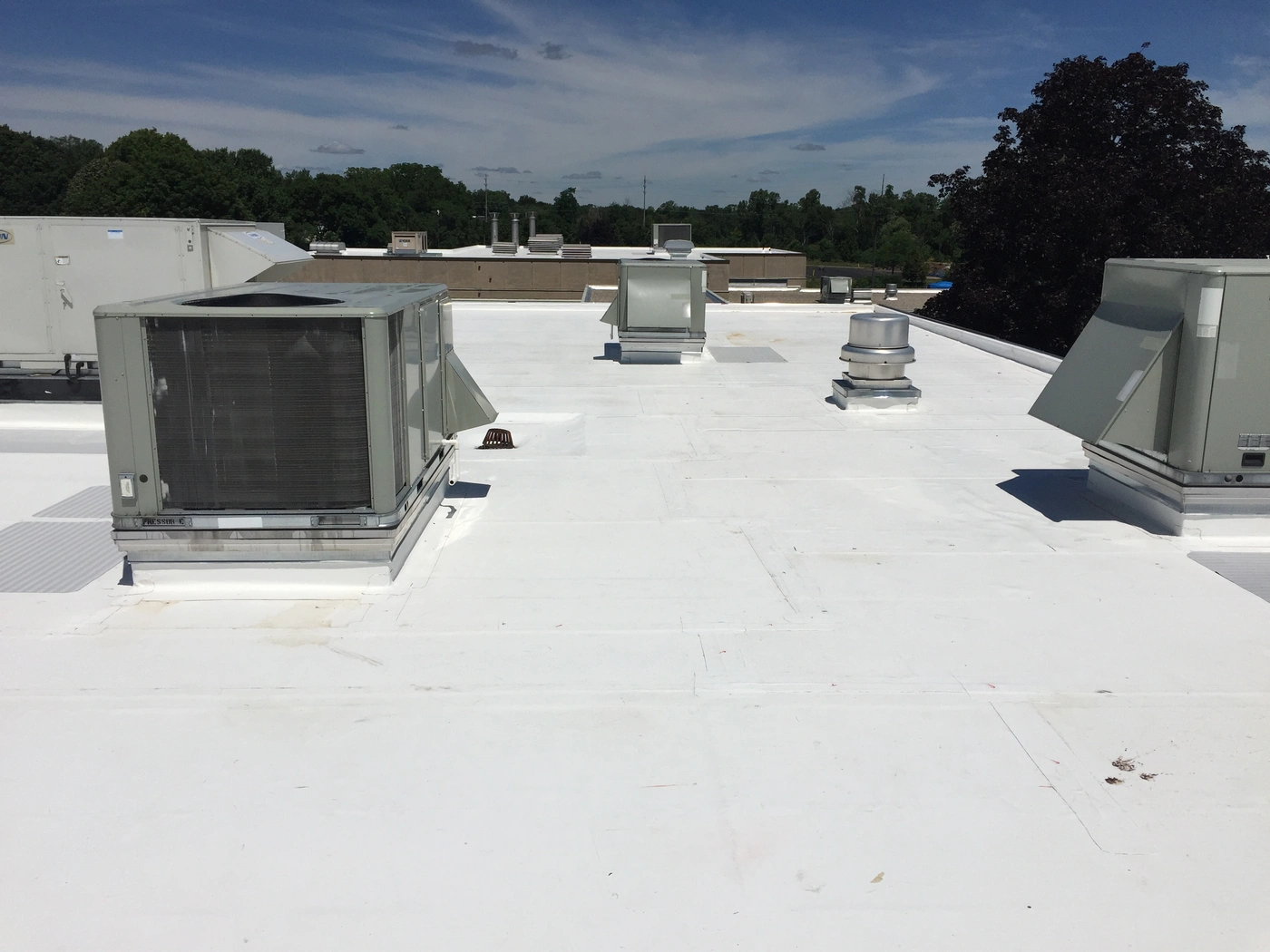 PVC Roofing